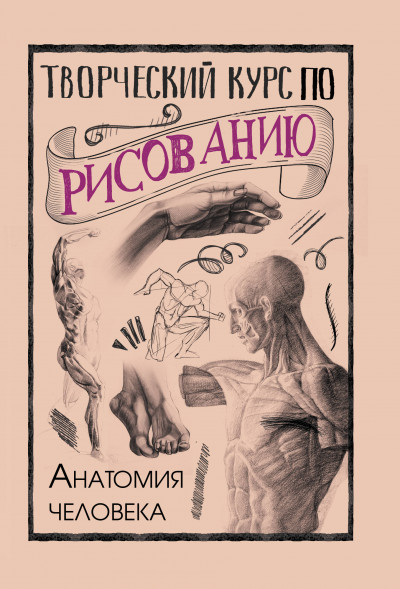 Творческий курс по рисованию. Анатомия человека. Грей М.