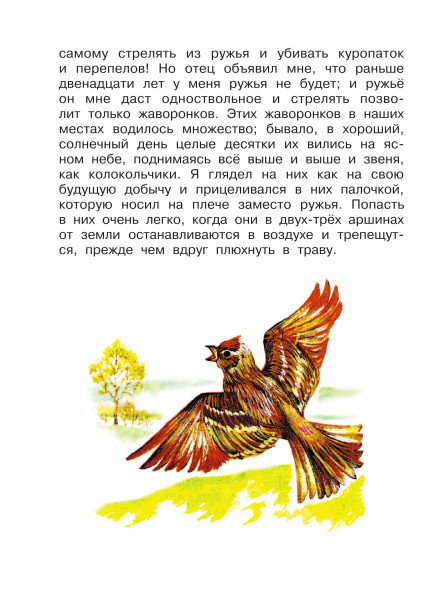 Родничок. Книга для внеклассного чтения в 4 классе. Пришвин М.М.,Бианки В.В.,Шварц Е.Л.