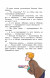 Не зевай! Весёлые школьные рассказы