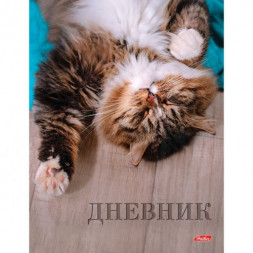 Дневник для 1-11 классов. Hatber. 40 листов. А5. Твердый переплет. Цветной блок. Сони-Засони