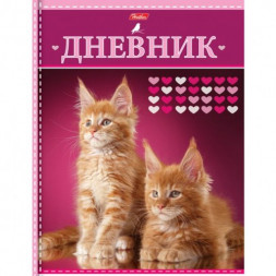 Дневник для 1-11 классов. Hatber. 40 листов. А5. Твердый переплет. Два котенка