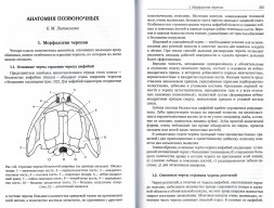 Практическая биология для олимпиадников