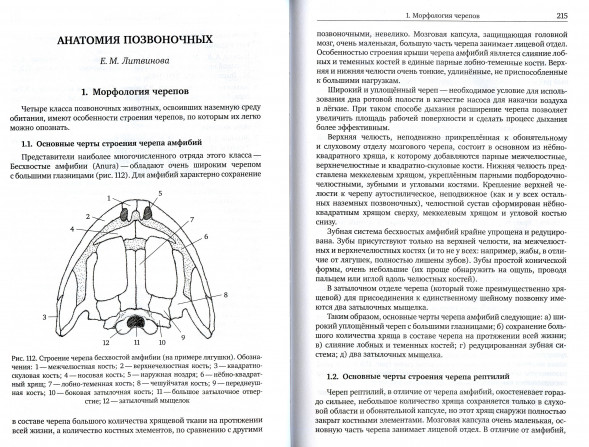 Практическая биология для олимпиадников