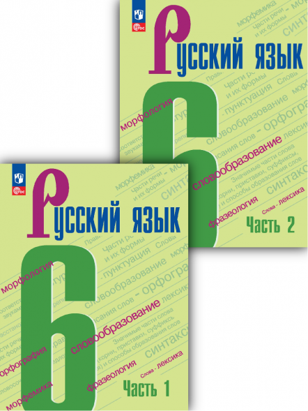 Русский язык. 6 класс. Учебник. Комплект. Баранов М.Т.