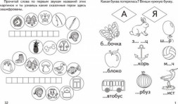 Серия «Говорим правильно». «Слова и звуки». Бурдина