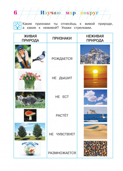 Изучаю мир вокруг. Для детей 6-7 лет