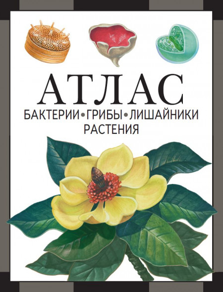 Бактерии, грибы, лишайники, растения : атлас