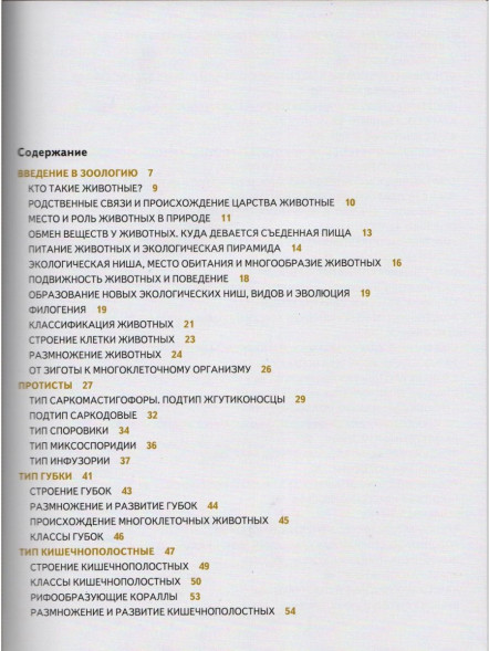 Беспозвоночные животные : атлас