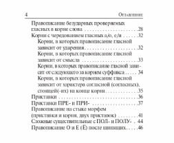 Русский язык. 10-11 классы. ЕГЭ. Карманный справочник
