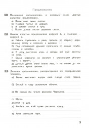 Тематические работы повышенного уровня по русскому языку. 4