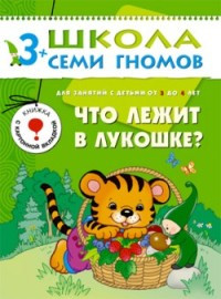 Школа Семи гномов (ШСГ) Четвертый год обучения. Что лежит в лукошке?/Денисова.