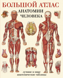 Большой атлас анатомии человека. Махиянова Е.Б. (Твёрдый переплёт)