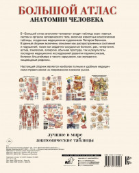 Большой атлас анатомии человека. Махиянова Е.Б. (Твёрдый переплёт)