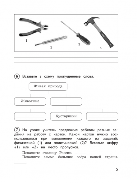Окружающий мир. Предварительный текущий итоговый контроль. 3